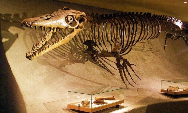 اكتشاف أول موزاصور عاش في مياه عذبة بأمريكا الشمالية 1 اكتشاف أول موزاصور عاش في مياه عذبة بأمريكا الشمالية