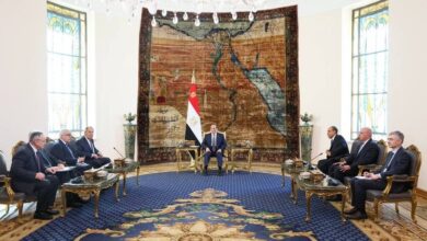 الرئاسة المصرية تكشف تفاصيل لقاء السيسي ولافروف 2 الرئاسة المصرية تكشف تفاصيل لقاء السيسي ولافروف