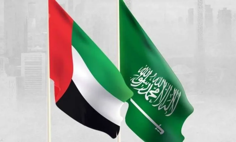 الإمارات ترحّب بجهود السعودية لإعادة الاستقرار في حضرموت والمهرة