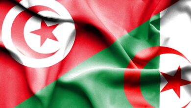 تونس تدعو لتعزيز التعاون الأكاديمي مع الجزائر