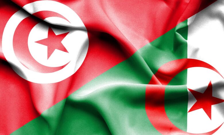 تونس تدعو لتعزيز التعاون الأكاديمي مع الجزائر 1 تونس تدعو لتعزيز التعاون الأكاديمي مع الجزائر