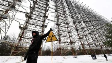 اكتشاف فطر يتغذى على الإشعاع في كارثة تشيرنوبل 3 اكتشاف فطر يتغذى على الإشعاع في كارثة تشيرنوبل