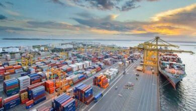 الصادرات الزراعية المصرية ترتفع إلى 8.8 مليون طن بزيادة 750 ألف طن 2 الصادرات الزراعية المصرية ترتفع إلى 8.8 مليون طن بزيادة 750 ألف طن