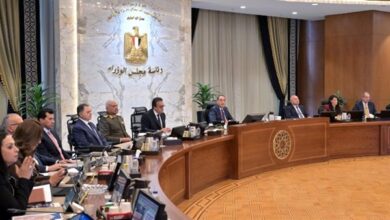 الحكومة المصرية تصدر 7 قرارات عاجلة وتتحرك للتحقيق في وفاة السباح يوسف محمد