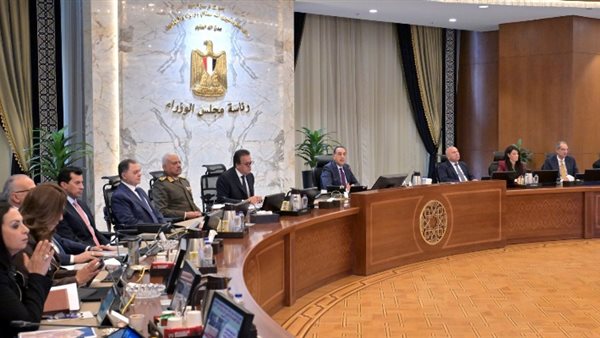 الحكومة المصرية تصدر 7 قرارات عاجلة وتتحرك للتحقيق في وفاة السباح يوسف محمد