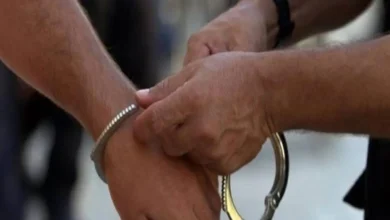 تحقيقات قضائية في مصر تكشف تفاصيل اتهامات مساعدة هالة صدقي بالنصب 6 تحقيقات قضائية في مصر تكشف تفاصيل اتهامات مساعدة هالة صدقي بالنصب