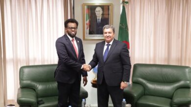 الجزائر والصومال تبحثان تعزيز التعاون في الإعلام والتحول الرقمي 6 الجزائر والصومال تبحثان تعزيز التعاون في الإعلام والتحول الرقمي