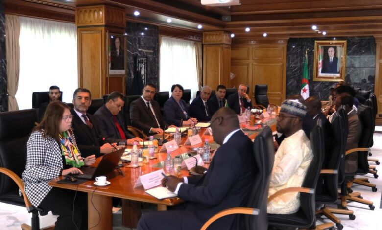 الجزائر وتشاد تعززان التعاون المنجمي خلال اجتماع رفيع المستوى 1 الجزائر وتشاد تعززان التعاون المنجمي خلال اجتماع رفيع المستوى