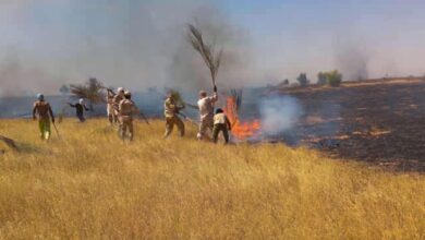 الجيش الوطني الموريتاني يسيطر على حريق ضخم قرب قرية "آباگه"