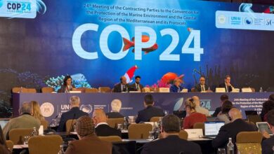 انطلاق فعاليات اجتماع "كوب 24" بالقاهرة