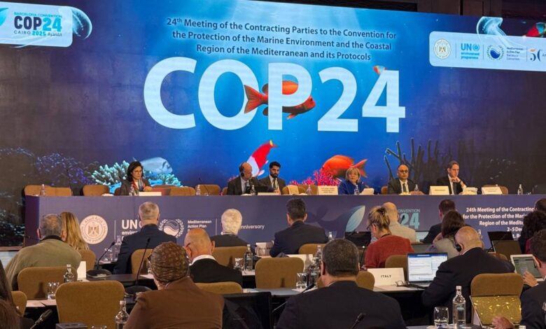 انطلاق فعاليات اجتماع "كوب 24" بالقاهرة 1 انطلاق فعاليات اجتماع "كوب 24" بالقاهرة