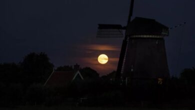 آخر قمر عملاق في 2025 يزين سماء الأرض الخميس القادم 2 آخر قمر عملاق في 2025 يزين سماء الأرض الخميس القادم