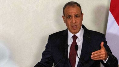 مصر تكشف: لدينا أفكار للتعامل مع نزع سلاح حمـ.اس