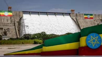 وزير الري المصري الأسبق: قوى خارجية تحرك إثيوبيا في ملف السد