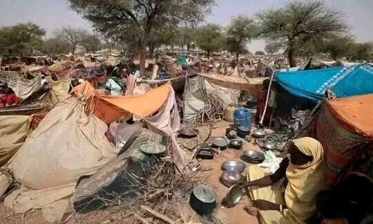 واشنطن تدين استهداف شاحنة لبرنامج الأغذية العالمي في دارفور 1 واشنطن تدين استهداف شاحنة لبرنامج الأغذية العالمي في دارفور