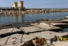 اكتشاف حطام سفينة ترفيهية مصرية عمرها 2000 عام قبالة الإسكندرية