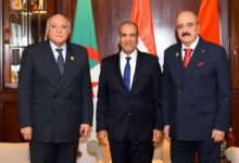 مصر والجزائر وتونس تبحث تسوية سياسية للأزمة الليبية