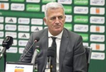 فلاديمير بيتكوفيتش، مدرب المنتخب الجزائري