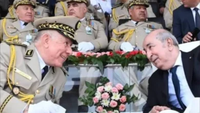 الجزائر تنفي إطلاق وحدات مرتزقة في الساحل وتصف الادعاءات بالكذب 3 الجزائر تنفي إطلاق وحدات مرتزقة في الساحل وتصف الادعاءات بالكذب