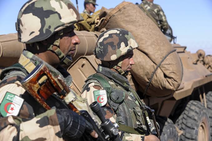 الجيش الجزائري يوقف 211 تاجر مخدرات ويسجّل استسلام 4 إرهـ. ـابيين خلال نوفمبر 1 الجيش الجزائري يوقف 211 تاجر مخدرات ويسجّل استسلام 4 إرهـ. ـابيين خلال نوفمبر