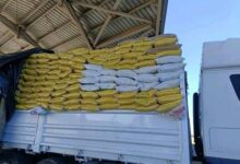 الجمارك المصرية تحبط تهـ. ـريب بذور محظورة وتحصّل تعويضات مالية