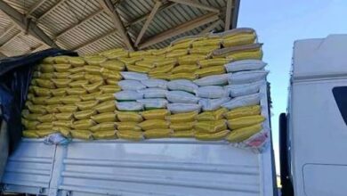 الجمارك المصرية تحبط تهـ. ـريب بذور محظورة وتحصّل تعويضات مالية