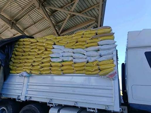 الجمارك المصرية تحبط تهـ. ـريب بذور محظورة وتحصّل تعويضات مالية