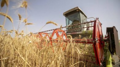 تونس تحذر من إدخال نباتات عبر الحدود لحماية الأمن الغذائي 3 تونس تحذر من إدخال نباتات عبر الحدود لحماية الأمن الغذائي