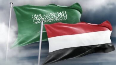 باكستان ترفض الخطوات الأحادية في اليمن وتؤكد تضامنها الكامل مع السعودية