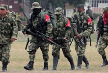 جماعة "جيش التحرير الوطني" الكولومبية تفرض حظر تجول 3 أيام في مناطق إنتاج الكوكايين