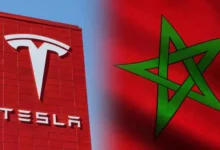 المغرب يجذب تسلا ويعزز صناعة السيارات الكهربائية بـ700 ألف سيارة سنواياً