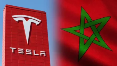 المغرب يجذب تسلا ويعزز صناعة السيارات الكهربائية بـ700 ألف سيارة سنواياً