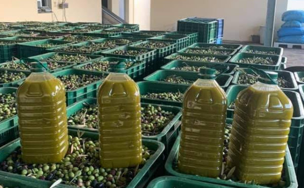 تونس تحافظ على المركز الثاني عالمياً في صادرات زيت الزيتون خلال موسم 2024-2025 1 تونس تحافظ على المركز الثاني عالمياً في صادرات زيت الزيتون خلال موسم 2024-2025