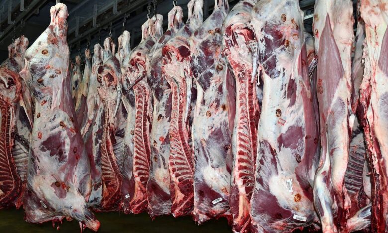 وزير الصناعة المصري يقترح مجازر ومدابغ متطورة في السودان 1 وزير الصناعة المصري يقترح مجازر ومدابغ متطورة في السودان