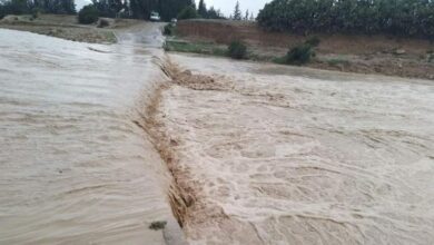 خبراء: أمطار تونس الغزيرة لم ترفع مخزون السدود الذي ظل عند 30% بسبب ضعف التساقطات في الشمال الغربي
