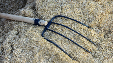 جزائري ينهـ. ـي حياة ابنته بـ"مذراة" بعد عودتها من المستشفى 2 جزائري ينهـ. ـي حياة ابنته بـ"مذراة" بعد عودتها من المستشفى