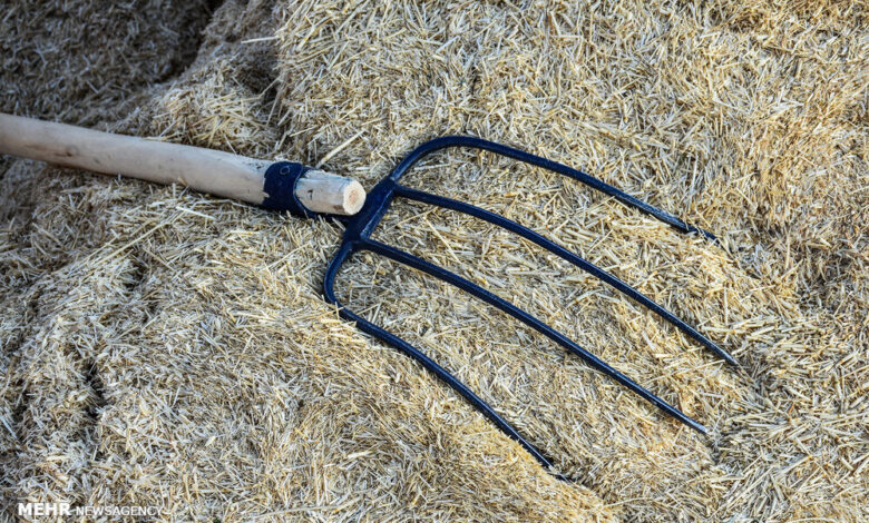 جزائري ينهـ. ـي حياة ابنته بـ"مذراة" بعد عودتها من المستشفى 1 جزائري ينهـ. ـي حياة ابنته بـ"مذراة" بعد عودتها من المستشفى