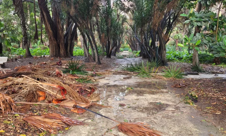 ولاية الجزائر تمدد غلق الفضاءات الغابية والمنتزهات العمومية بسبب الطقس