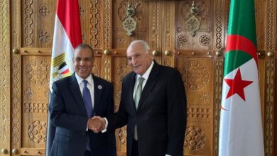 وزيرا خارجية مصر والجزائر يناقشان تطورات ليبيا ويدعمان الحل السياسي ووحدة أراضيها