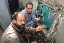 مصر: مملكة نحل داخل مقبرة تفاجئ أهالي قرية بالمنوفية أثناء عملية دفن