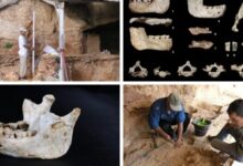 المغرب :اكتشاف حفريات بشرية قديمة يعود تاريخها لـ773 ألف سنة