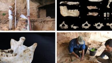 المغرب :اكتشاف حفريات بشرية قديمة يعود تاريخها لـ773 ألف سنة
