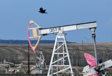 الولايات المتحدة تعلن إمكانية زيادة إنتاج النفط الفنزويلي بعد اعتقال مادورو