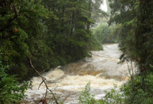 فيضانات وانهيارات أرضية تتسبب بفقدان أشخاص في نيوزيلندا
