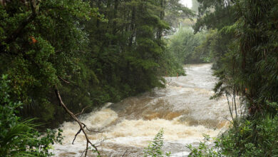 فيضانات وانهيارات أرضية تتسبب بفقدان أشخاص في نيوزيلندا