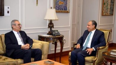 مصر تؤكد دعمها للجنة الوطنية لإدارة غزة وتدعو لاستكمال استحقاقات المرحلة الثانية