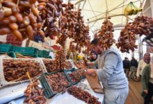 تونس تسجل محصولاً قياسياً من التمور خلال موسم 2025/2026