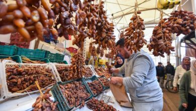 تونس تسجل محصولاً قياسياً من التمور خلال موسم 2025/2026