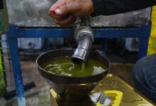 زيت الزيتون التونسي يتحول إلى حديث الشارع الأردني بعد نفاد كمياته خلال دقائق، وسط طوابير طويلة وإقبال غير مسبوق