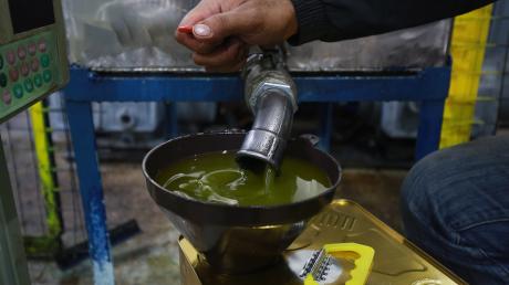 زيت الزيتون التونسي يتحول إلى حديث الشارع الأردني بعد نفاد كمياته خلال دقائق، وسط طوابير طويلة وإقبال غير مسبوق